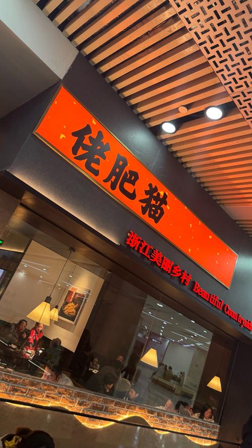 新奥最精免费大全管家婆和肥猫一年多减重16斤与肥猫一年多减重16斤正常吗