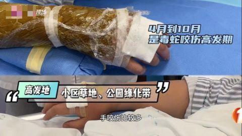 2025年天天开彩免费大全和男子在湖边被蛇咬伤与男子在湖边被蛇咬伤视频